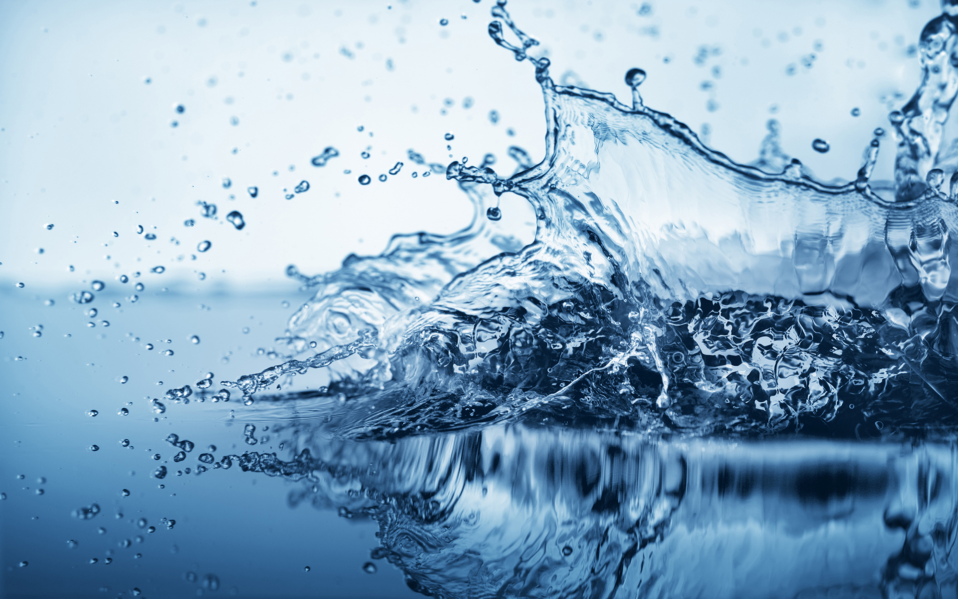 Purified Water